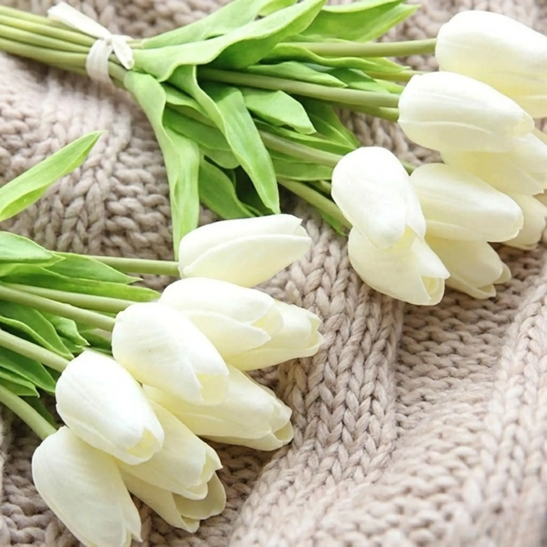 5 Pcs Artificial Tulip Flowers Bunch – Realistic Silk Tulips for Vase Decoration (Vase Not Included) | Home-(Living Room, Bed Room), Office, Wedding & Party Décor (Off-White)